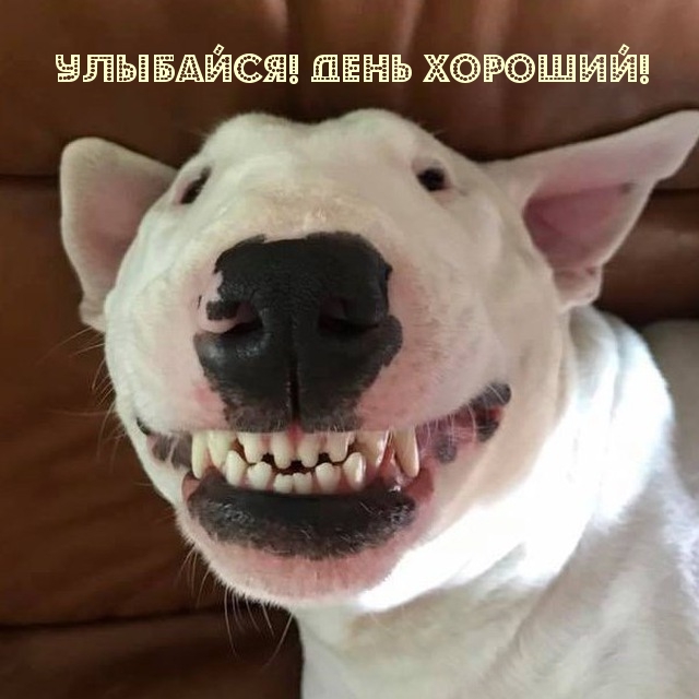 ��������: ��������! ���� �������!