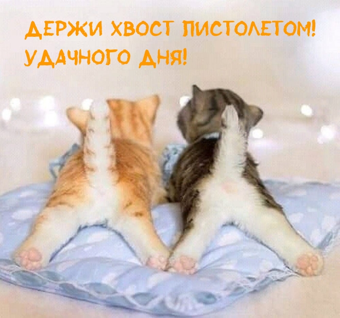 ����� ����� ����������! �������� ���!