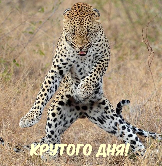 ��������: ������� ���!