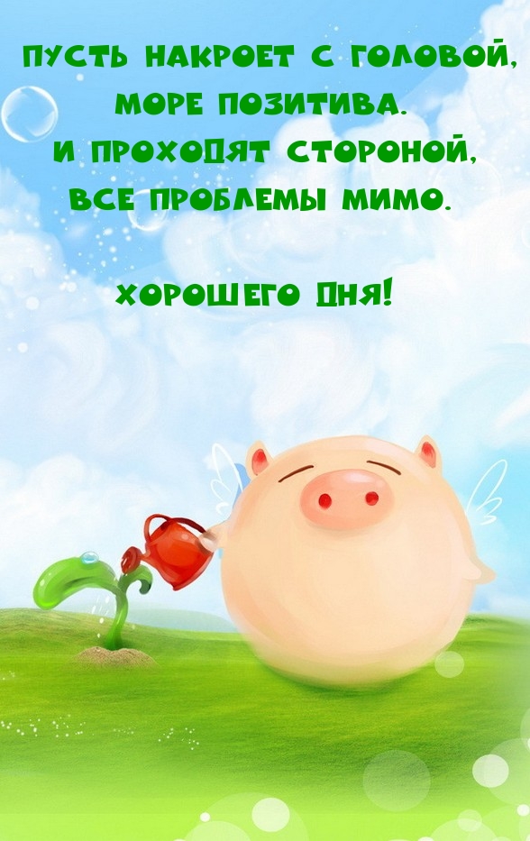 ��������: �������� ���! ���� ��������!