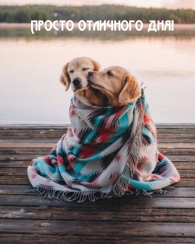 Картинка: Просто отличного дня!