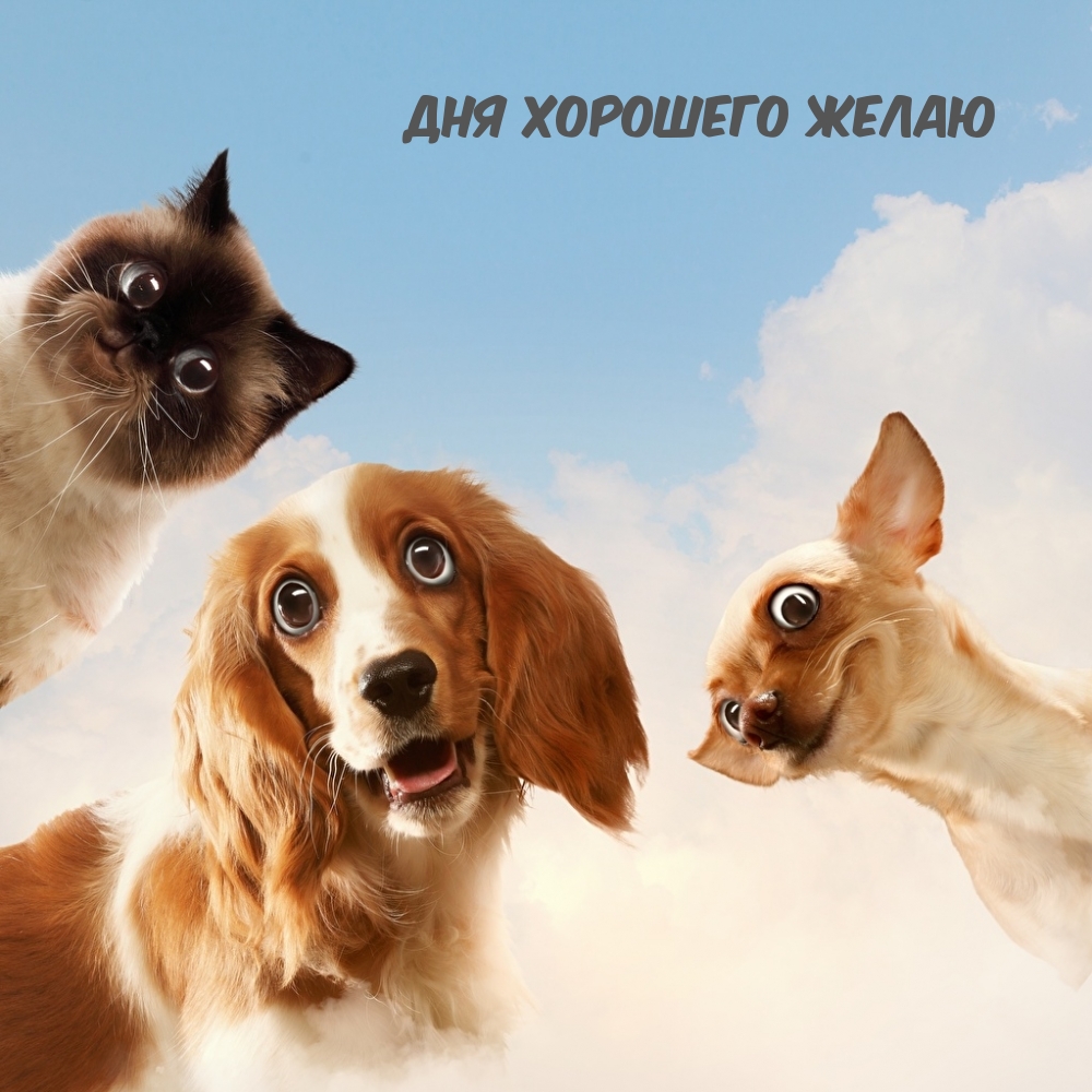 ��������: ��� �������� �����