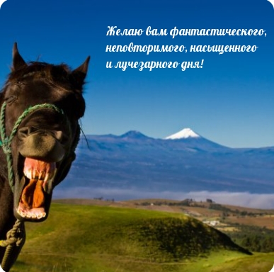 Картинка: Неповторимого, насыщенного и лучезарного дня!