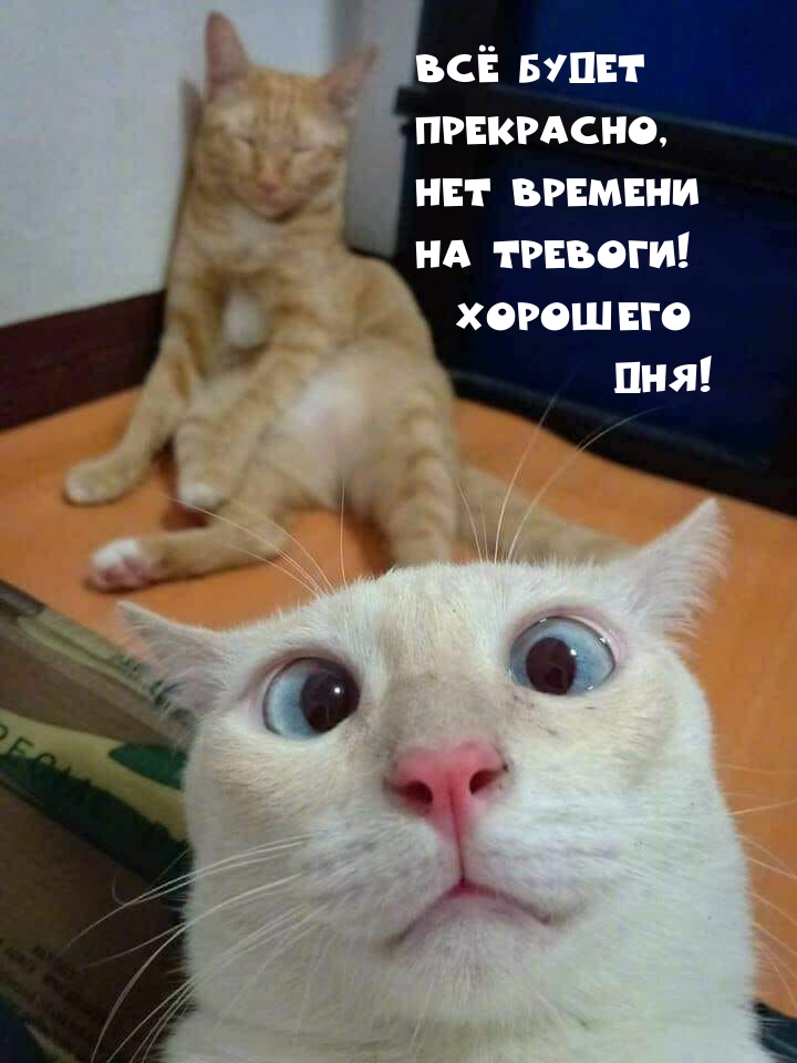 ��������: �� �����  ���������, ��� �������  �� �������!