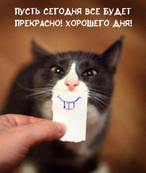 Картинка: Пусть сегодня все будет прекрасно! Хорошего дня!