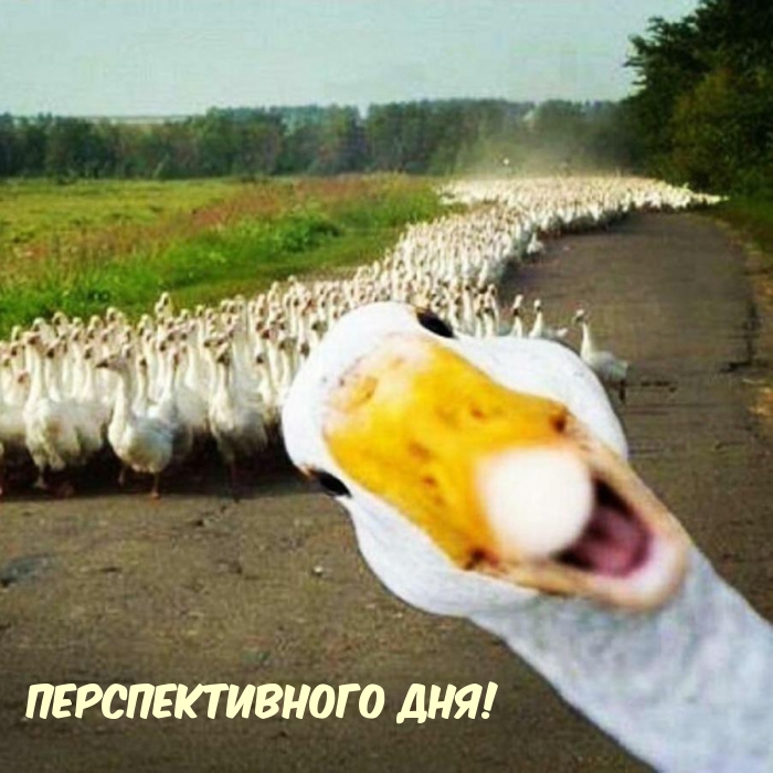 ��������: �������������� ���!