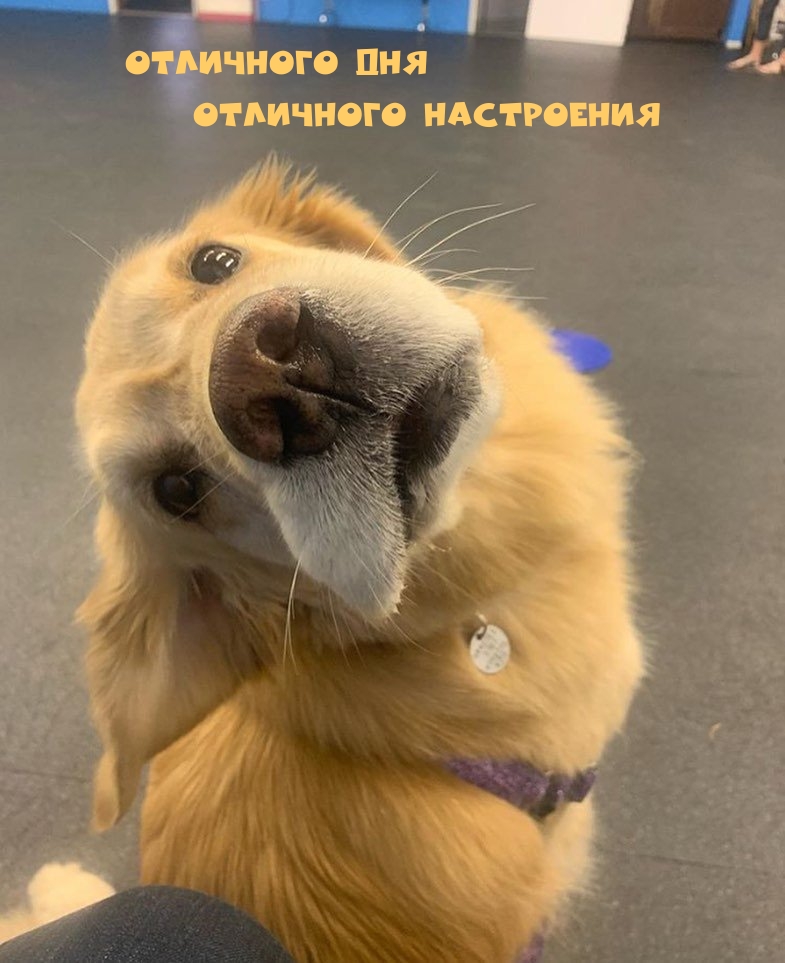 ��������: ��������� ���! ��������� ����������