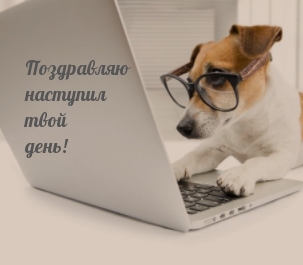 ��������: ���������� �������� ���� ����!