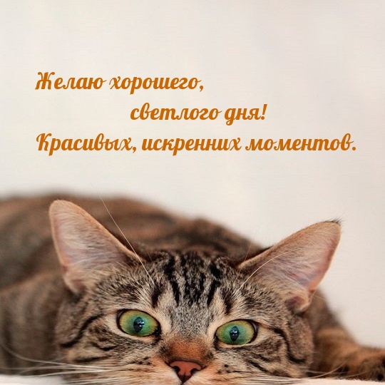 ��������: ����� ��������, �������� ���!