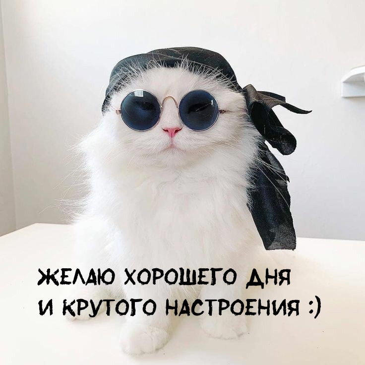 Картинка: Желаю хорошего дня И крутого настроения :)