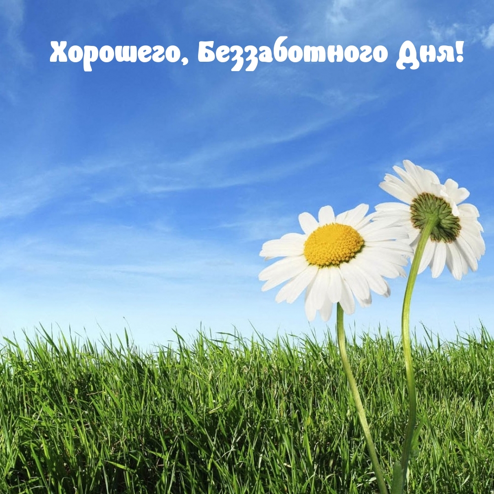 Картинка: Хорошего, Беззаботного Дня!