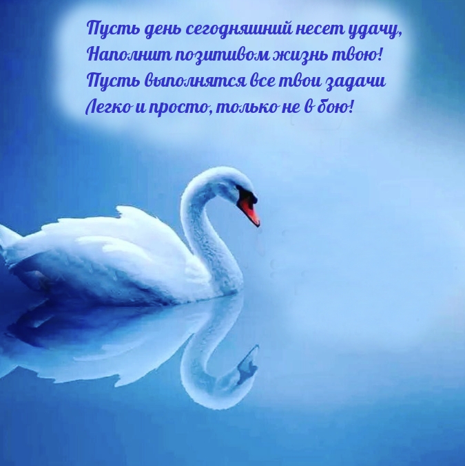 ��������: ����� ���� ����������� ����� �����