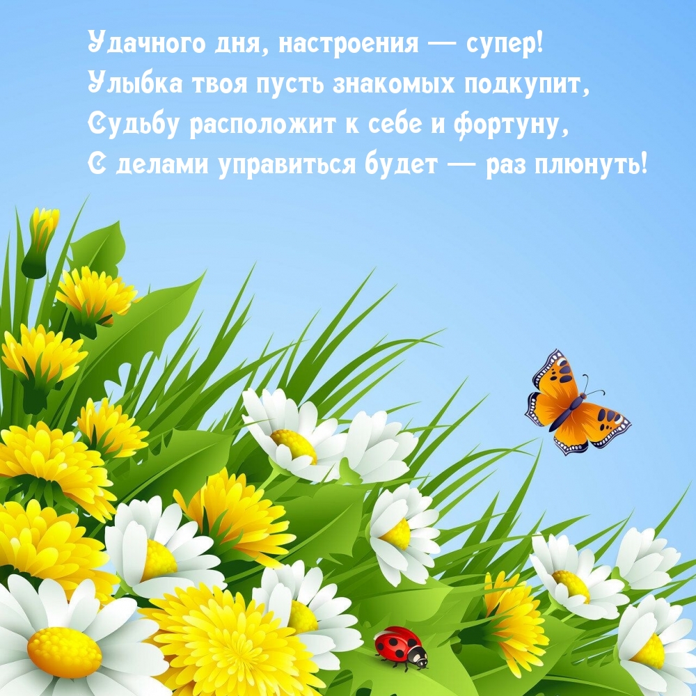 Картинка: Удачного дня, настроения — супер!