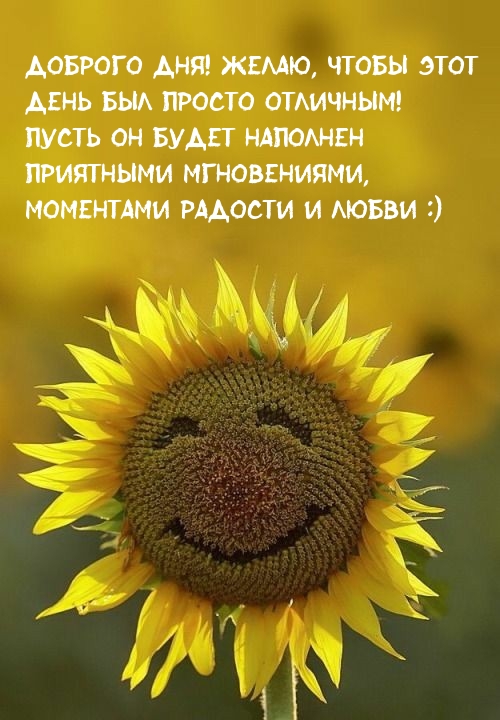 Картинка: Желаю, чтобы этот день был просто отличным!