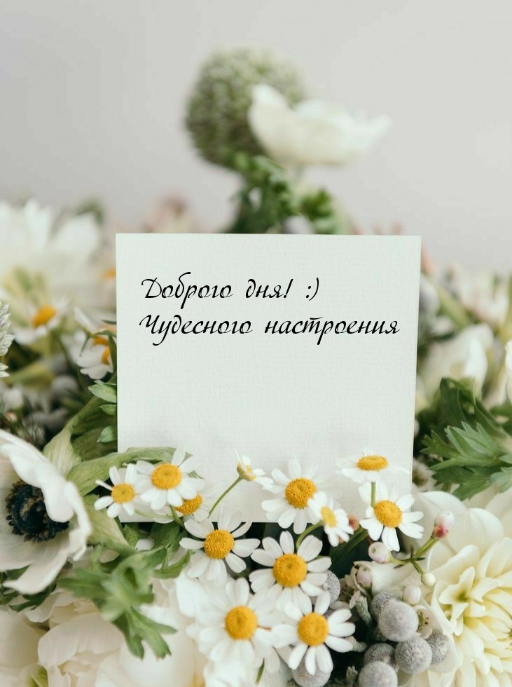 ��������: ������� ���! :) ��������� ����������