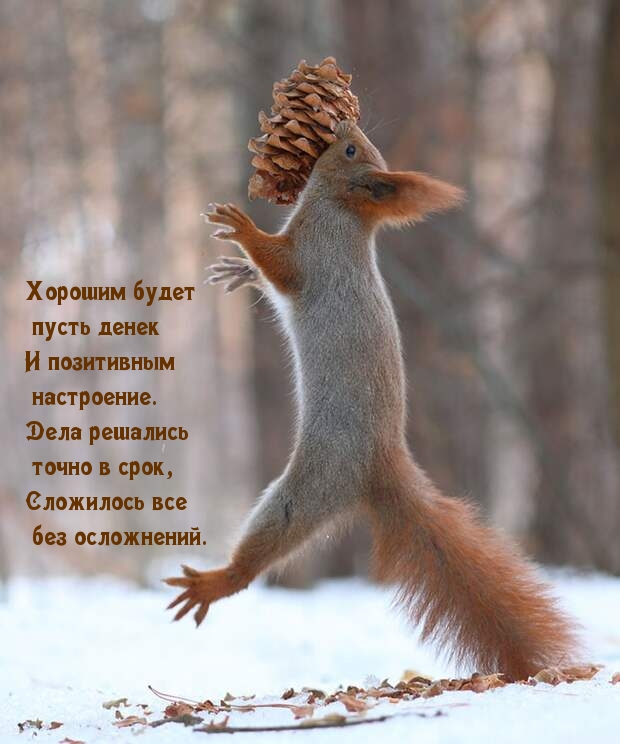 ��������: ������� ����� ����� ����� � ���������� !