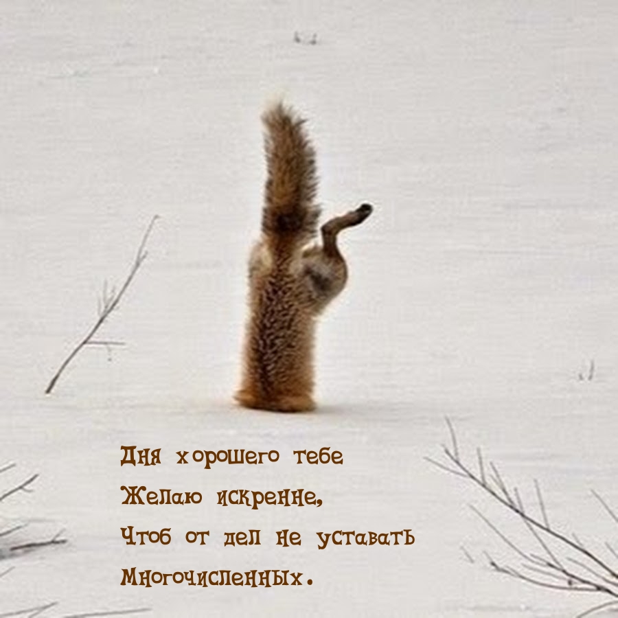 Картинка: Дня хорошего тебе Желаю искренне!