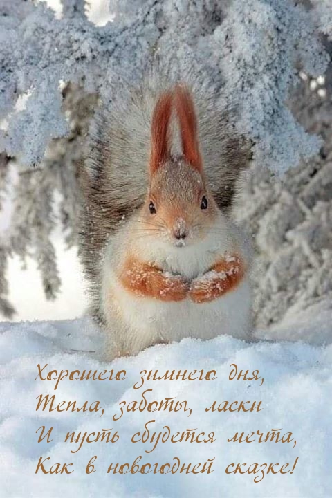 Картинка: Хорошего зимнего дня! Как в новогодней сказке!
