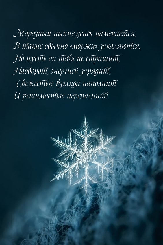 Картинка: Морозный нынче денёк намечается!