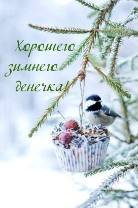 ��������: �������� ������� �������!