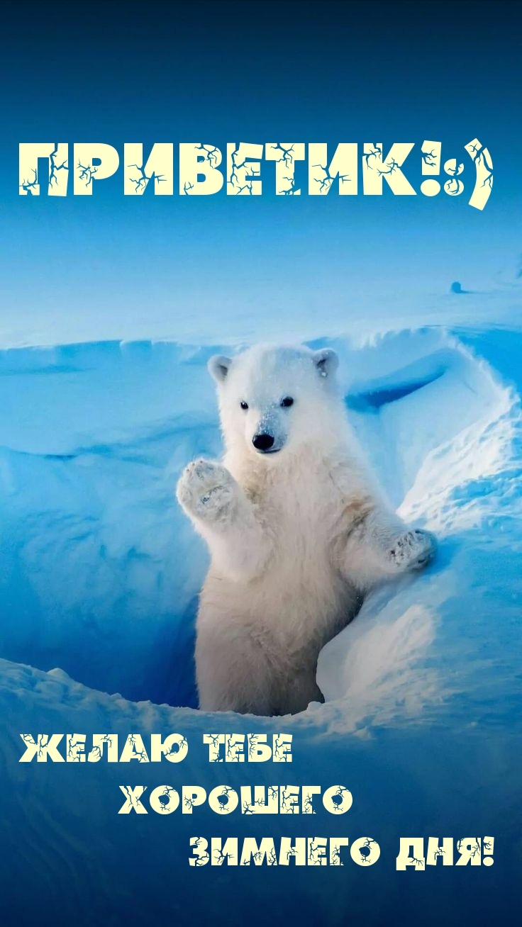 Картинка: Желаю тебе хорошего зимнего дня! Приветик от медведа