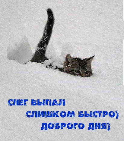 ��������: ���� ����� ������� ������) ������� ���)