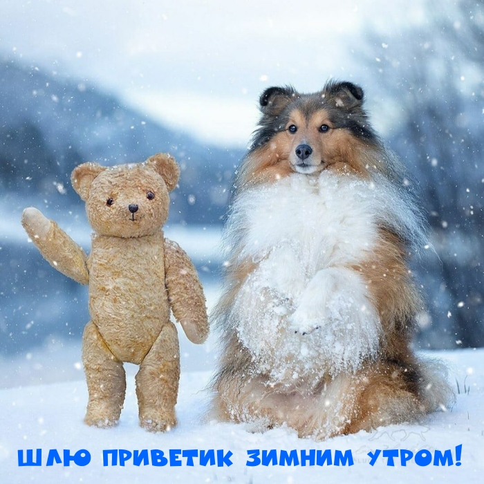 Картинка: Шлю приветик зимним утром!