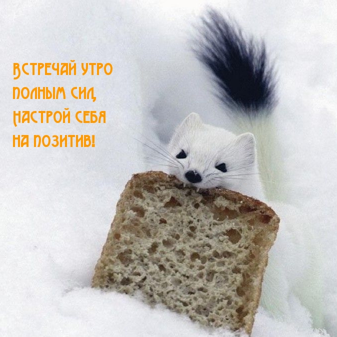 Картинка: Встречай утро полным сил, Настрой себя на позитив!