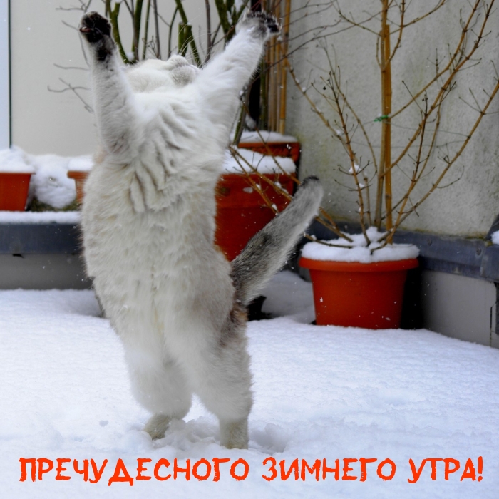��������: ������������ ������� ����!