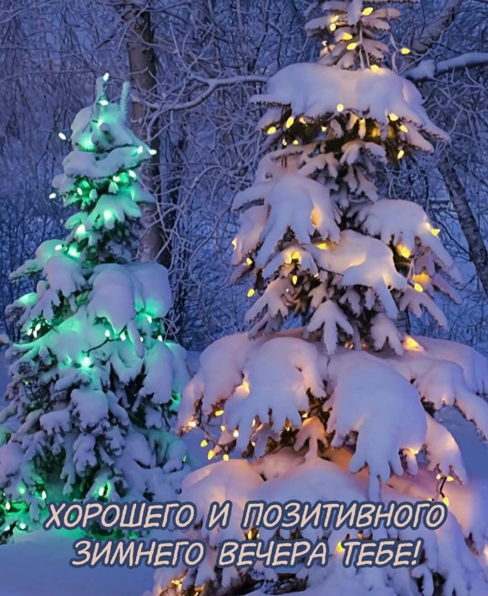Картинка: Хорошего и позитивного зимнего вечера тебе!