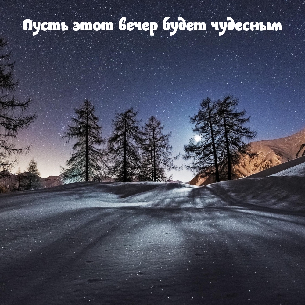 ��������: ����� ���� ����� ����� ��������