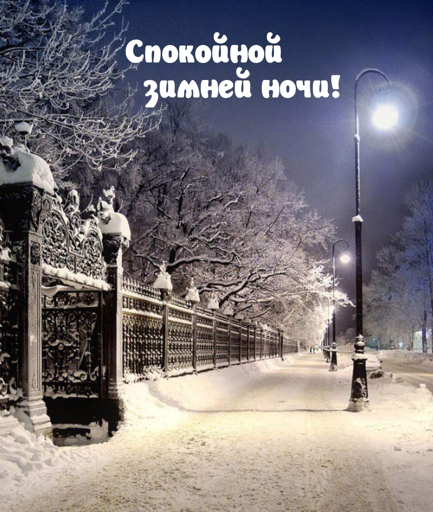 Картинка: Спокойной зимней ночи!