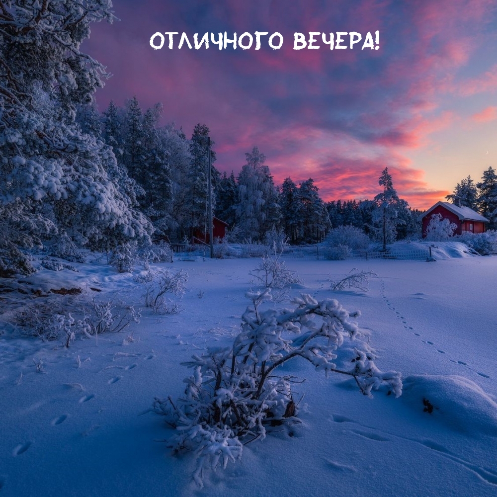 Картинка: Отличного Вечера!