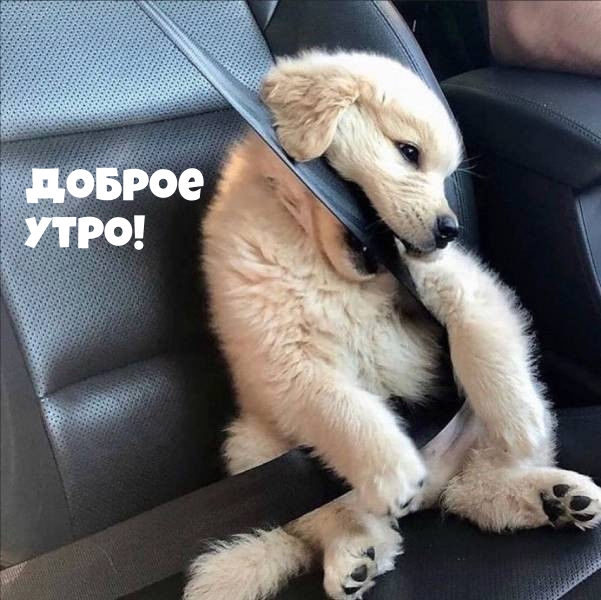 Картинка: Доброе утро!