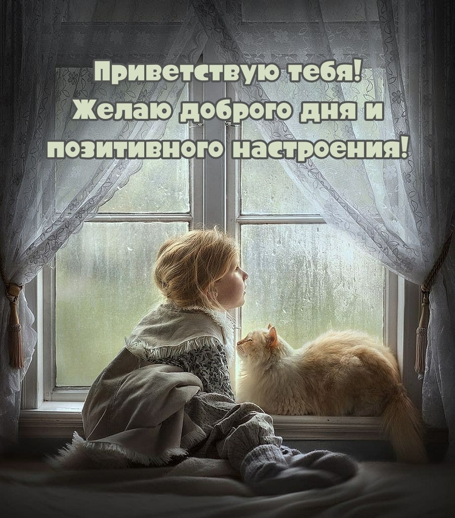 Картинка: Приветствую тебя! Желаю доброго дня и позитивного настроения!