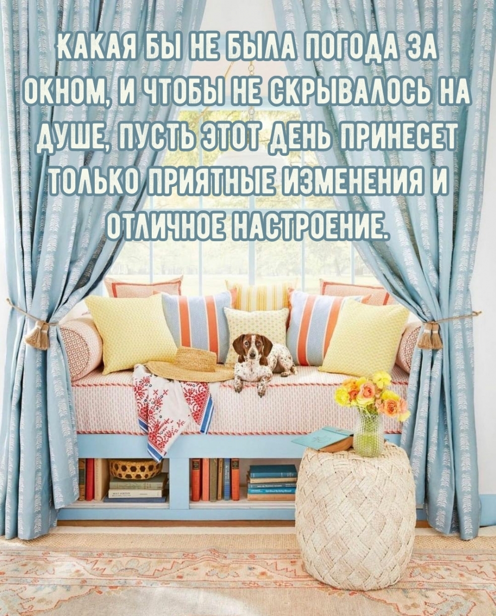 ��������: ����� ���� ���� �������� �������� ��������� � �������� ����������.