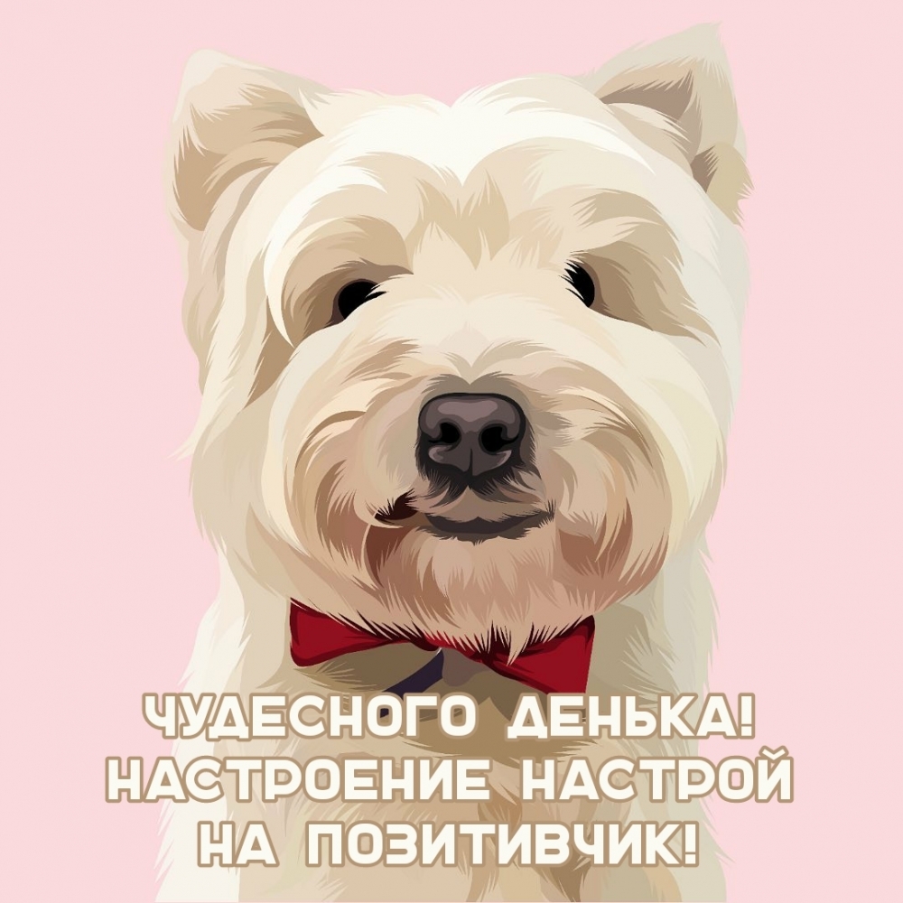Картинка: Чудесного денька! Настроение настрой на позитивчик!