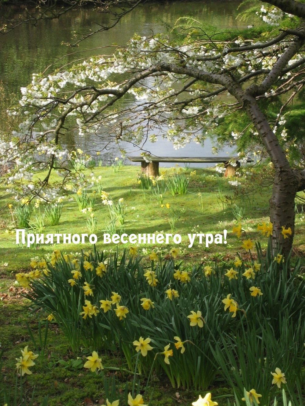 Картинка: Приятного весеннего утра!