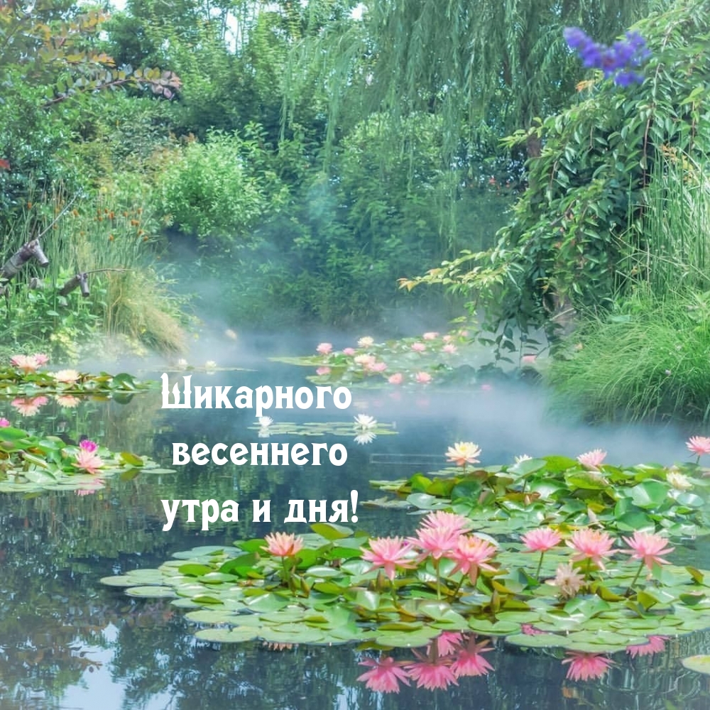 Картинка: Шикарного весеннего утра и дня!