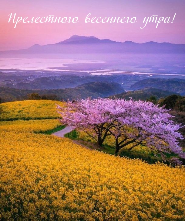 ��������: ����������� ��������� ����!