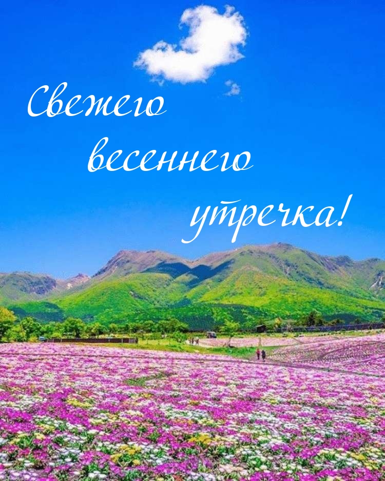 Картинка: Свежего весеннего утречка!