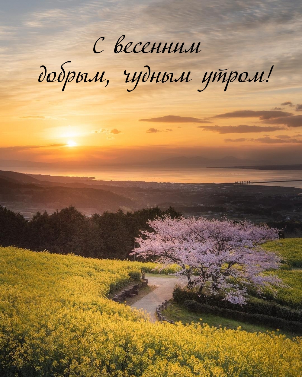 ��������: � �������� ������, ������ �����!