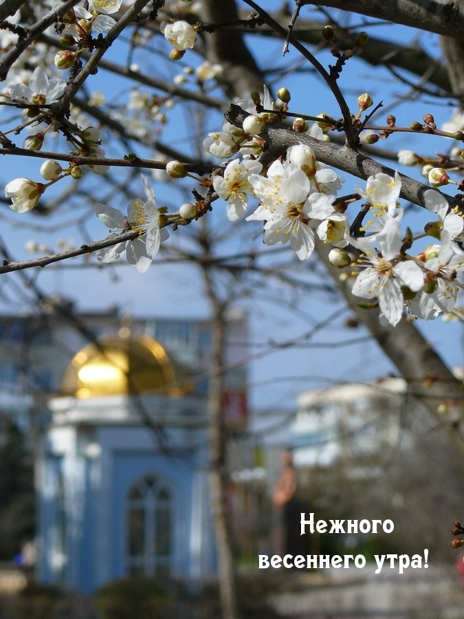 Фото весеннего утра в городе