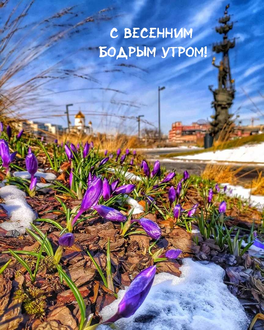 ��������: � �������� ������ �����!