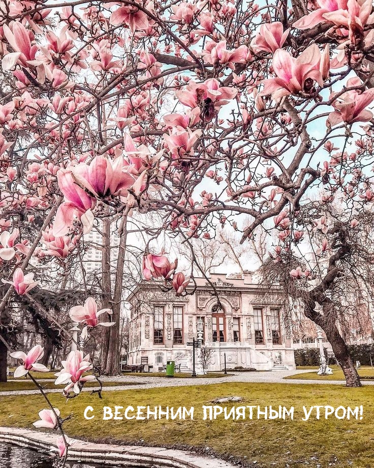 Картинка: С весенним приятным утром!