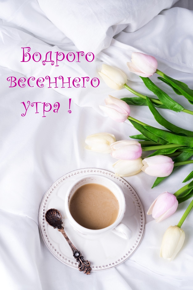 Картинка: Бодрого весеннего утра!