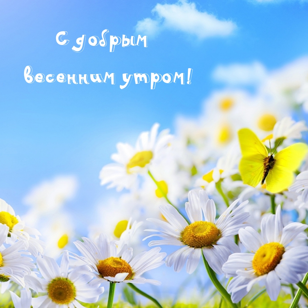 Картинка: С добрым весенним утром!