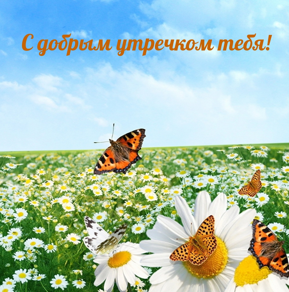 � ������ �������� ����!