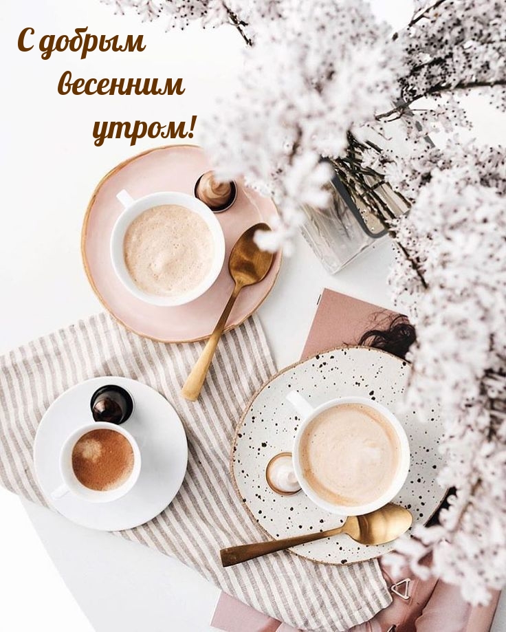 ��������: � ������ �������� �����!