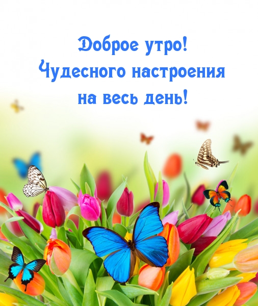 Картинка: Доброе утро! Чудесного настроения на весь день!